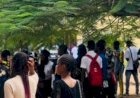Groups Raise Alarm Over Targeting of Nigerian Students with Nicotine Products
