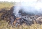 Suspected herdsmen set N20m rice farm ablaze in Benue community