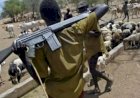 Tension in Benue LG as armed herders seize seven out of 10 Council Wards, kill four