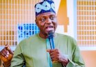 Crisis: APC North-Central Forum gives Nat'l Chairman two-weeks ultimatum to quit over alleged primary election irregularities