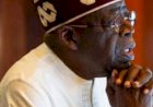 Tinubu orders forensic audit of IPPIS, Federal Government agencies