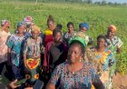 Sasakawa: Benue benefitting farmers urge fresh govt, private sector investment to sustain agricultural gains