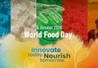 CAPPA urges FG to prioritise affordable, nutritious food, tighten regulations