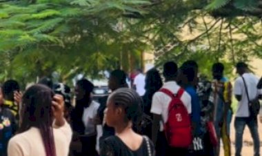Groups Raise Alarm Over Targeting of Nigerian Students with Nicotine Products