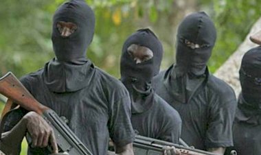 Two Security Operatives Killed as gunmen attack checkpoint in Benue