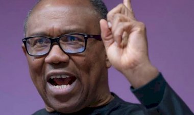 Obi blasts alleged distribution of luxury vehicles to Tinubu’s mobilisation coordinators