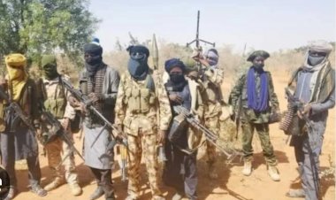 Nigeria's insecurity: OLA Sisters renew global appeal as 165 Papiri School children remain in captivity