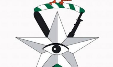 PTML Customs records ₦424.5bn revenue in 2025, targets one-hour cargo clearance in 2026