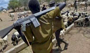 Benue: Gunmen abduct 14 passengers, kill 2 in fresh Utonkon attack