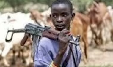 Suspected herdsmen kill over 15 in Ojatele community, Benue state