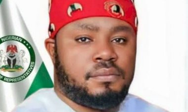 Benue LP declares Rep Agbese State Leader, pledges allegiance to Nenadi Usman's leadership