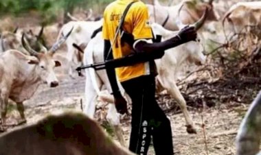 Benue community under siege as suspected herdsmen kill two, rustle nearly 50 cattle