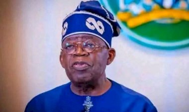 Tinubu orders ICPC lrobe of fake Presidential Council, gives 30-day deadline