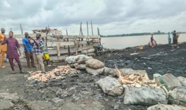 Benue govt moves to clean up Wadata Market over health concerns