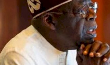 Tinubu orders forensic audit of IPPIS, Federal Government agencies