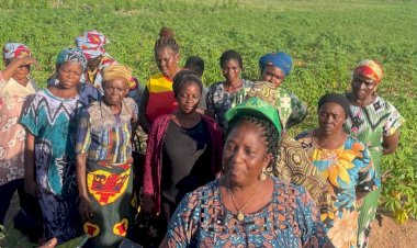 Sasakawa: Benue benefitting farmers urge fresh govt, private sector investment to sustain agricultural gains