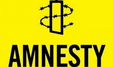 Amnesty raises alarm as bandits lay siege to dozens of Zamfara villages
