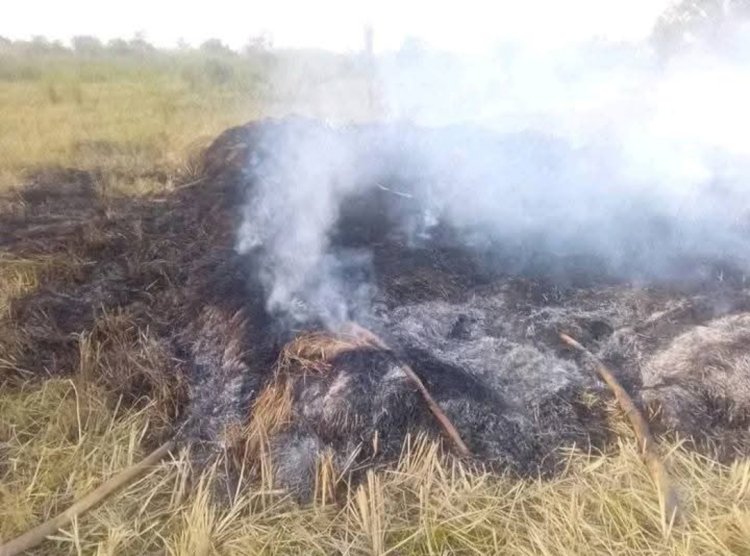 Suspected herdsmen set N20m rice farm ablaze in Benue community