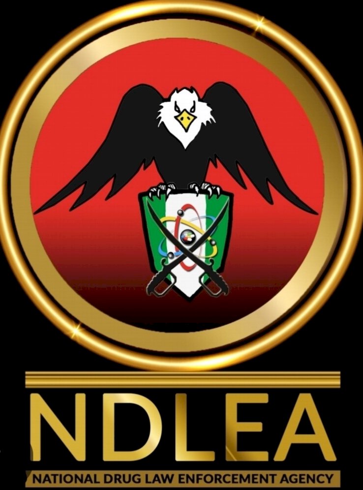 NDLEA, Truck Operators Join Forces to Curb Drug-Related Road Accidents in Edo