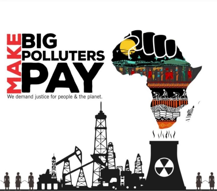 African coalition slams $125bn COP30 Forest Fund as “Dangerous Financialisation of Nature”