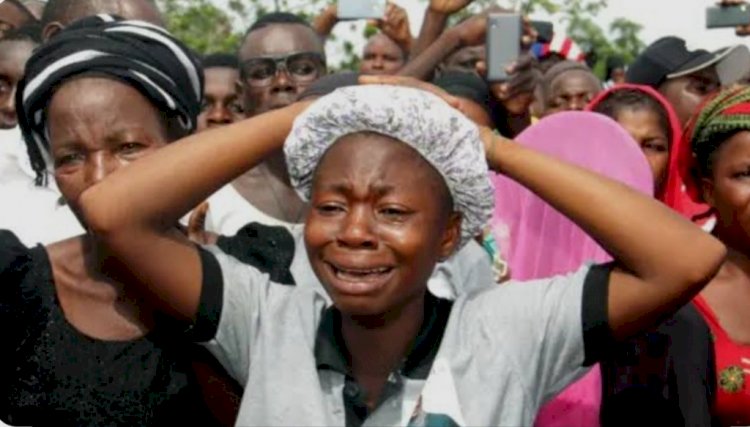 Catholic Priests sound alarm: 