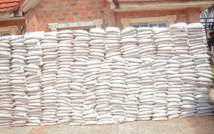 Sen. Moro spreads Christmas cheer in Benue South, distributes rice, livestock worth millions