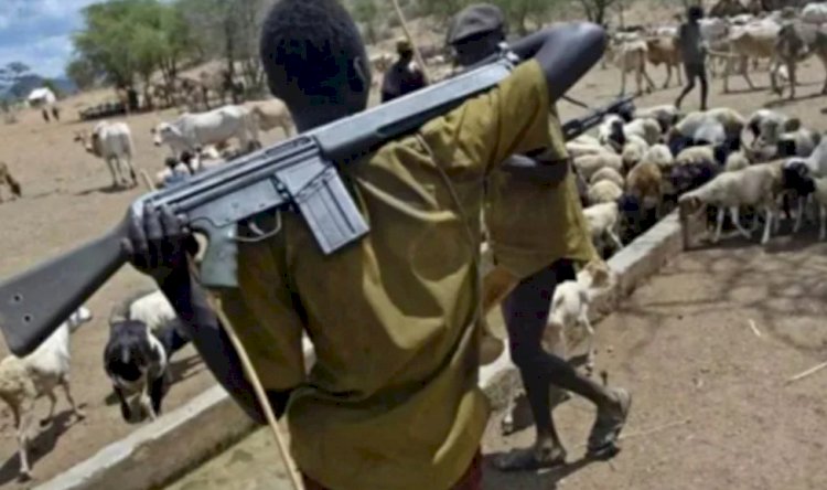 About 20 feared killed as suspected herdsmen attack Kwande communities in Benue