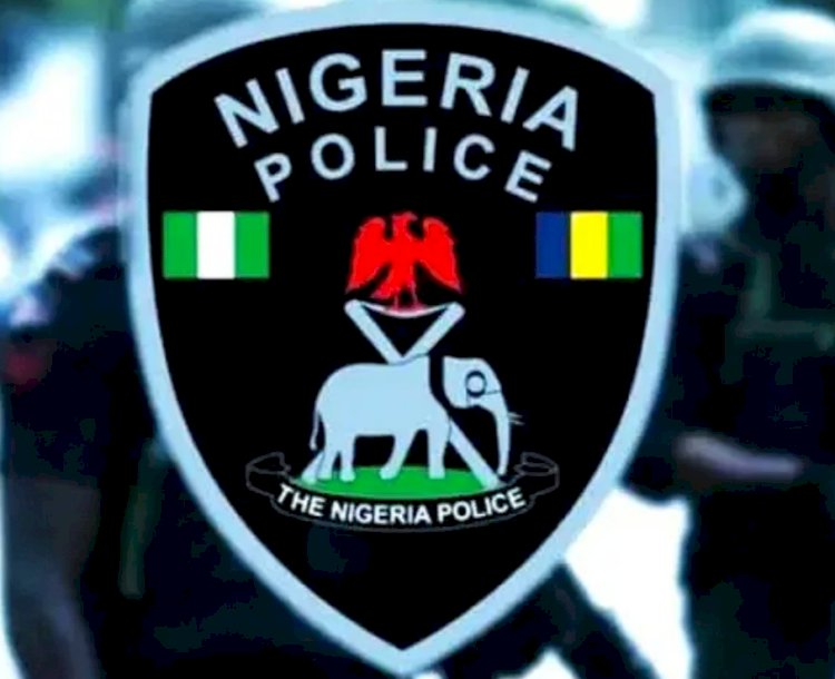 Court affirms Nigerians’ right to record police in public