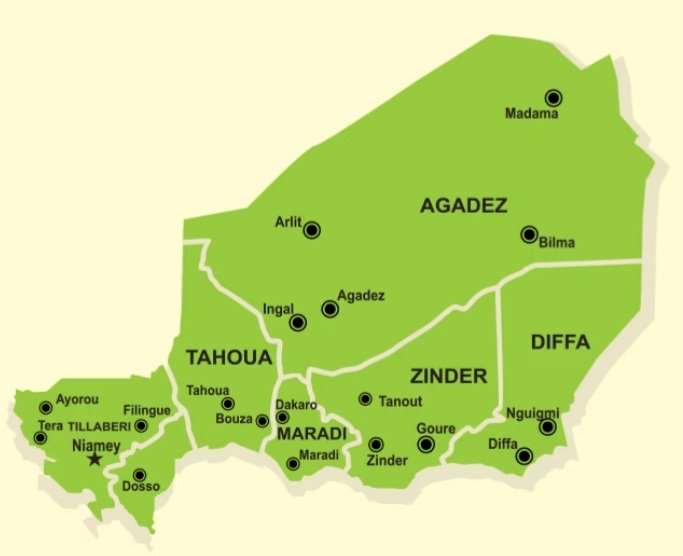 Nigeria safely evacuates 1,230 citizens from Niger Republic amid crisis