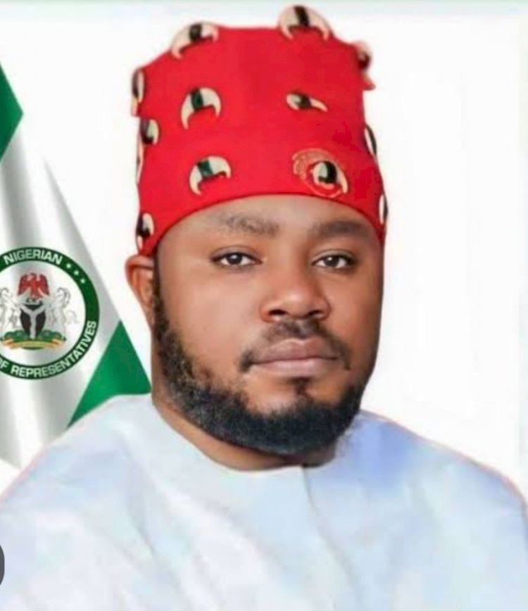 Benue LP declares Rep Agbese State Leader, pledges allegiance to Nenadi Usman's leadership