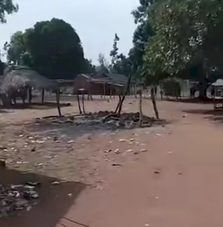 FACT CHECK: Were 17 people killed on Easter Sunday in Gwer East, Benue state as widely reported on April 5, 2026?