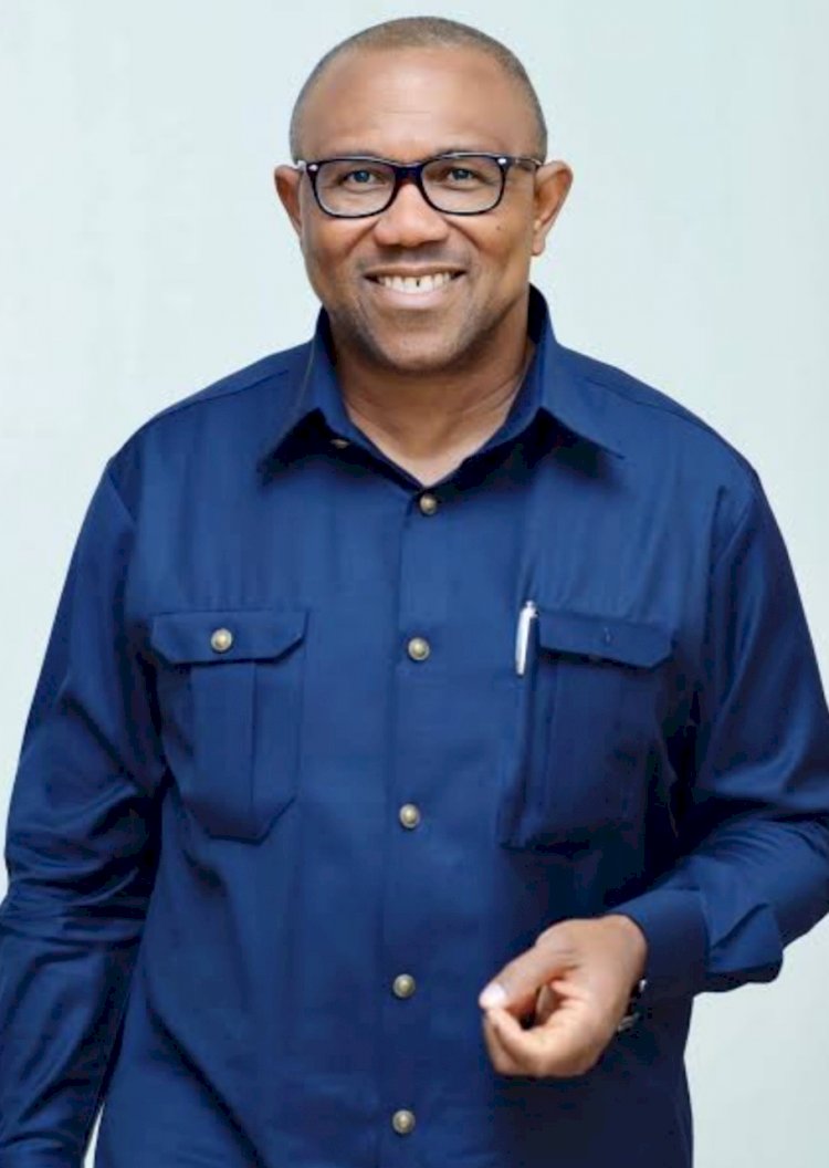 NDC zones 2027 presidential ticket to south for single four-year term