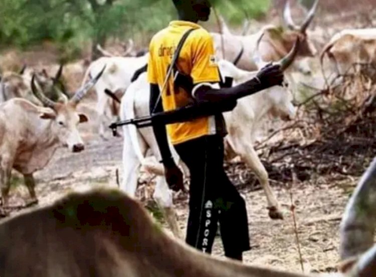 Benue community under siege as suspected herdsmen kill two, rustle nearly 50 cattle