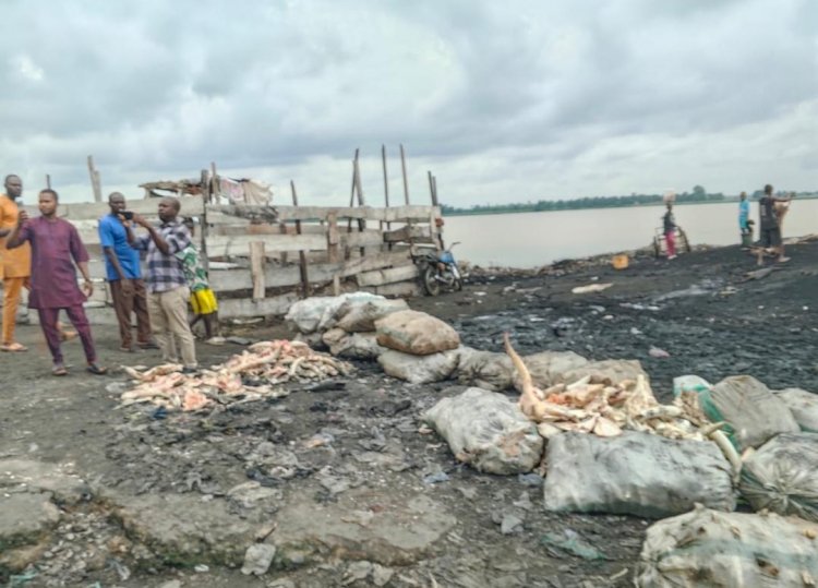Benue govt moves to clean up Wadata Market over health concerns