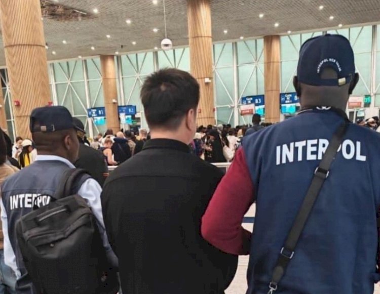 Police Repatriate Chinese Fugitive Wanted Over 12 Tonnes of Pangolin Scale Smuggling