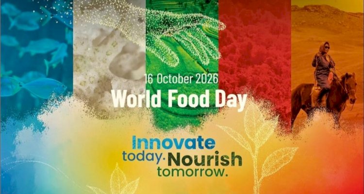CAPPA urges FG to prioritise affordable, nutritious food, tighten regulations